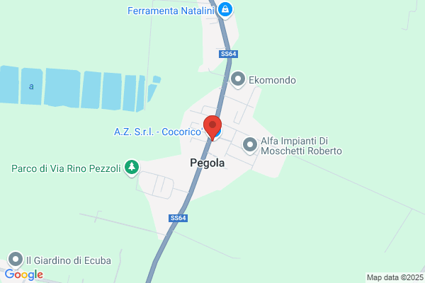 Gazzotti Massimo
