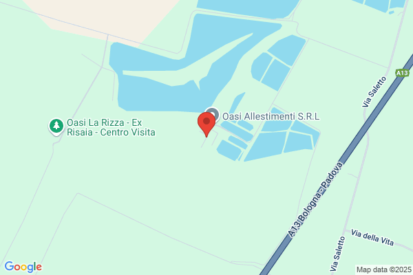 Ponteggi Gabbi srl