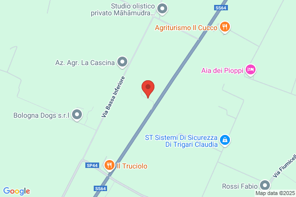 Segreti di Curve