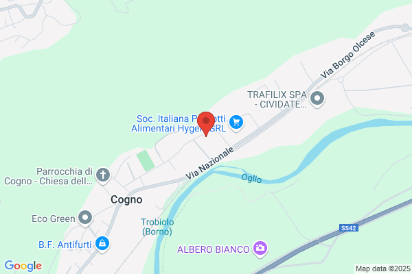 Carrozzeria Domenighini