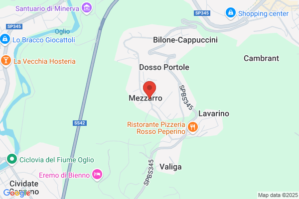 Moscardi sandro (Geom.)