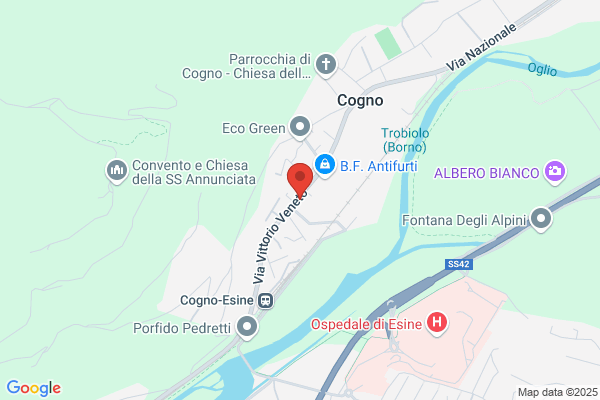 Ptp Bar Pezzoni Marta 0 (Or:est.7/21 Inv.8/2)