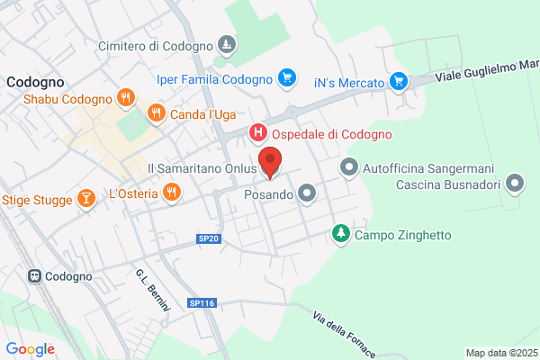 Il Samaritano