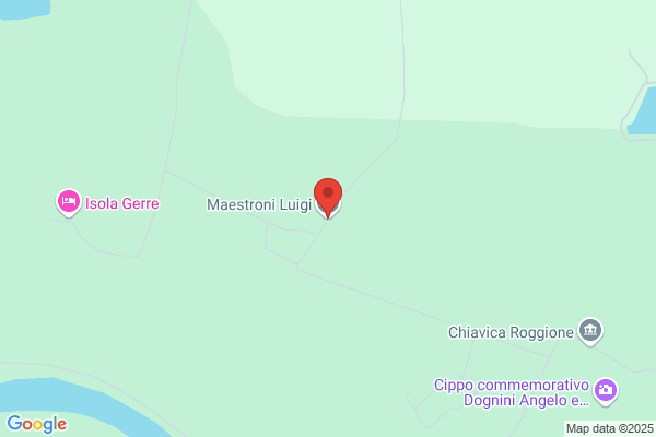 Maestroni luigi