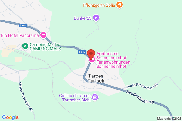 Olivotto tommaso