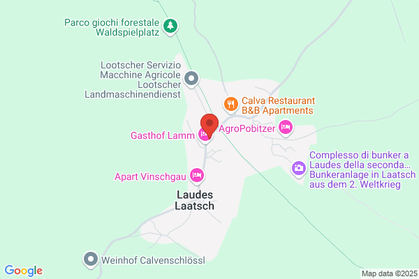Patscheider Stocker rosa