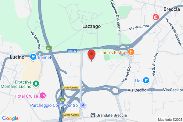 Magistri