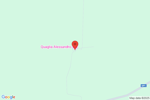 Quagliara alessandro