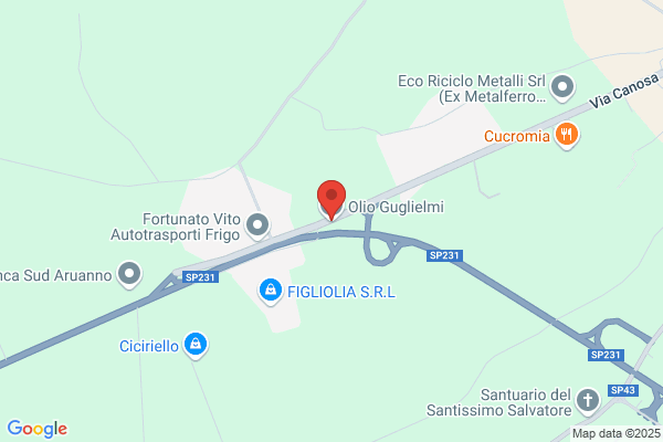 Guglielmi Adriano