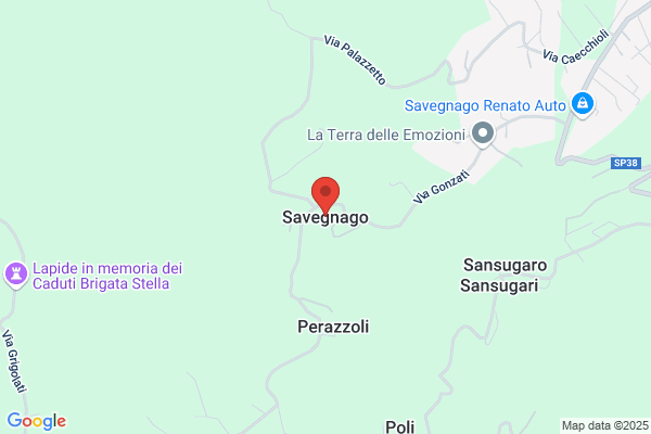 Savegnago bruno