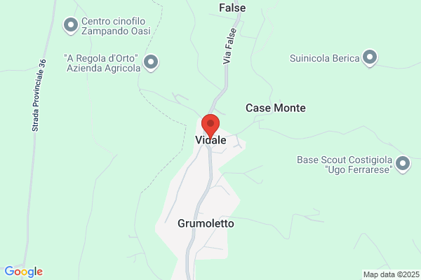 Vidale giuliana