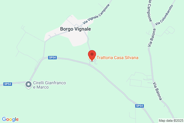 Vecchi silvana