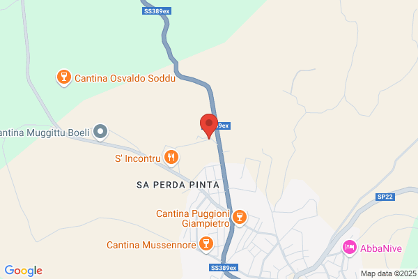 Paddeu melchiorre