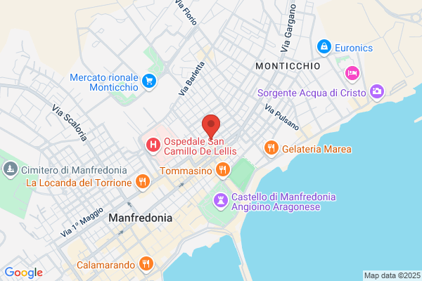 Tomaiuolo michele