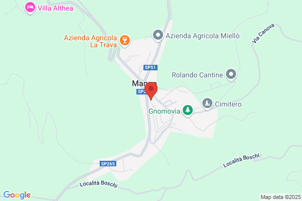 Giachino Alfredo