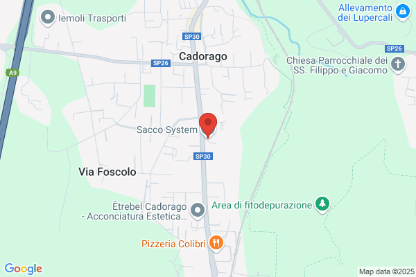 Sacco virginio