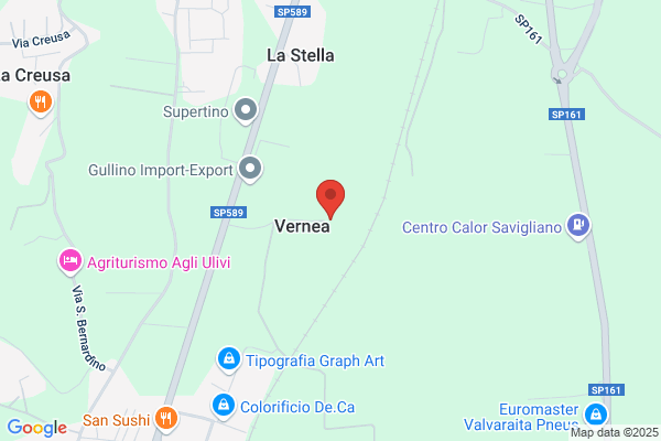 Fabbrone Geuna Antonella (Dr.)