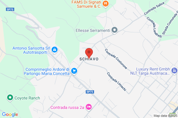 Schiavo ciro