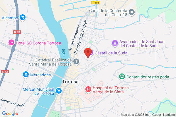Tortosa glauco
