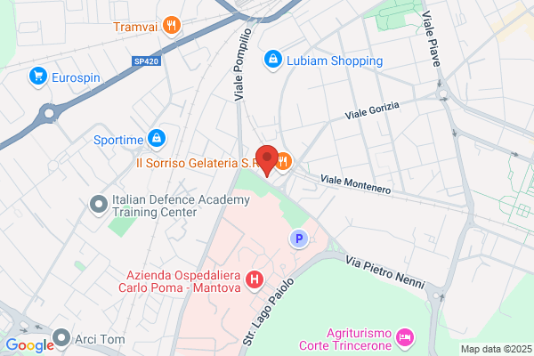 Istituto Oncologico Mantovano