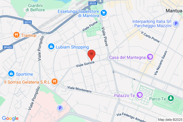 Palestra Gorizia Di Guido Bonfa E C. (S.A.S.)