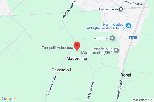 Zampolli andrea