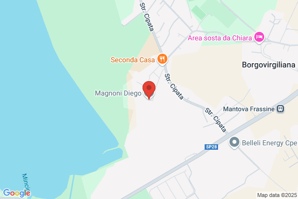 Magnoni fausto (Rag.)