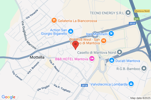 I.F.I.S Istituto Fiduciario Italiano Sicurezza Di Alongi Armando e /// (C. Sas)