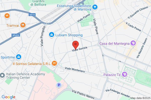 Madoglio ernesto