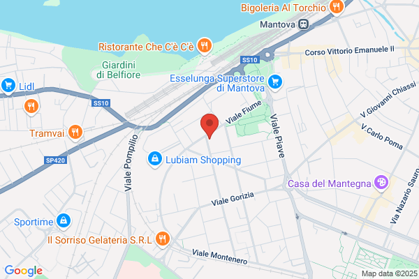 Co.Ta.Ma. Consorzio Taxisti Mantovani