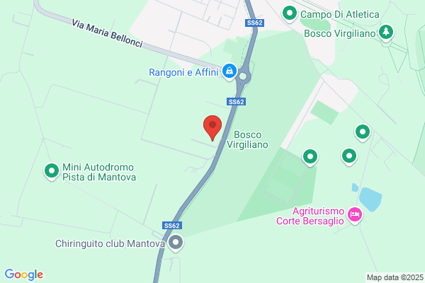 Massobrio daria (Ing.)