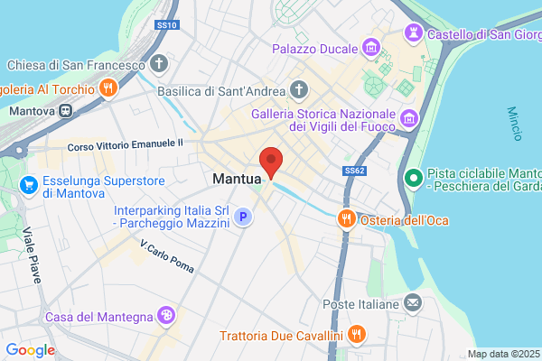 Il Cartiglio Mantovano Di Bianchi Dr.Monica