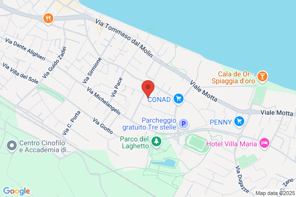 Il Mercatone Di Desenzano (S.R.L.)
