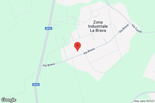 Artemidea