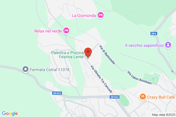 Festina Lente Srl Palestre