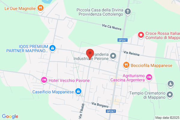 Movida PanCafè