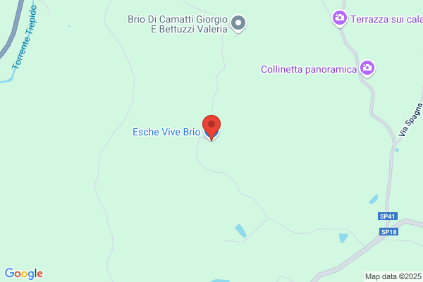 Esche Vive Brio