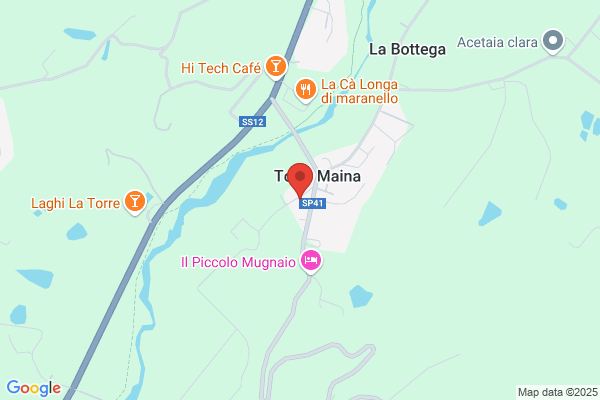 Villa Estense (S.R.L.)
