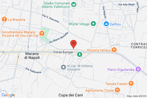 Istituto Magistrale Statale Carlo Levi