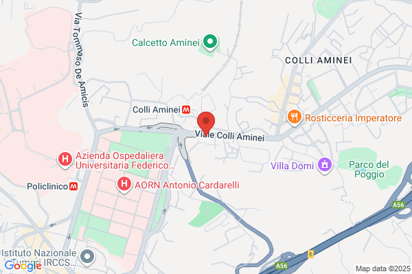 Trasporti Funebri D'Abile Holding