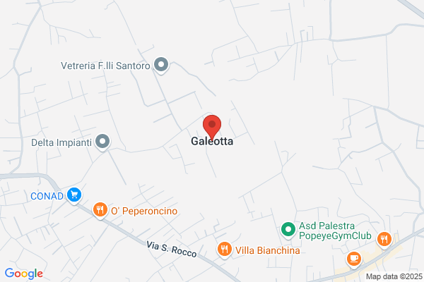 Gatto, Olga