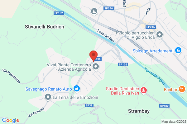 Centro Revisoni Savegnago Giordano