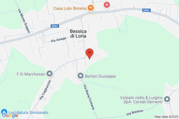 Selenio Di Manea Franca & C. S.A.S.