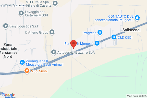 Noleggio Piattaforme Aeree - Carozza Company