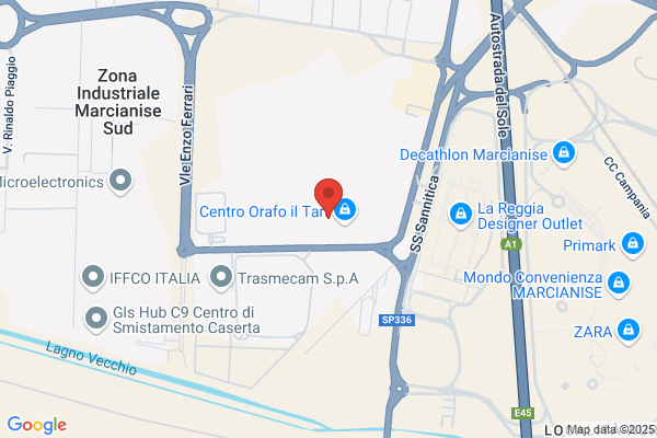 Tortora gennaro
