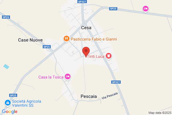 U.S. Cesa