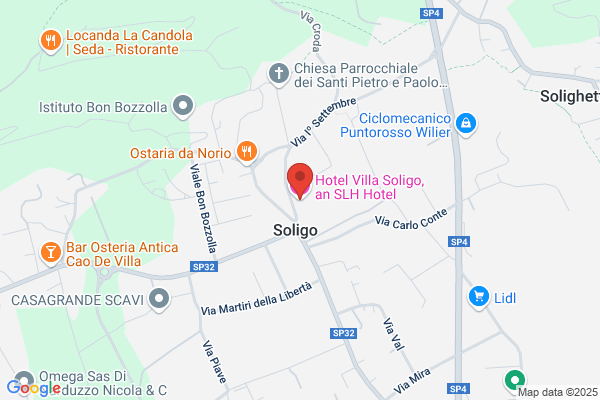 Hotel Villa Soligo