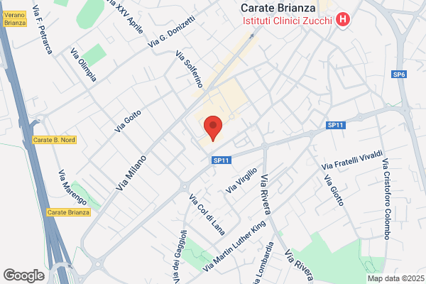 Italiana Assicurazioni Spa