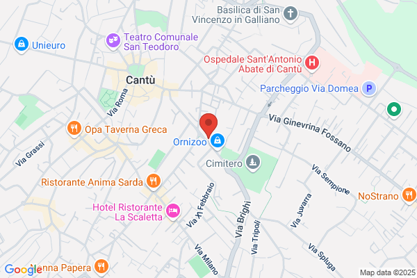 Botta Dr. Paolo Studio Dentistico