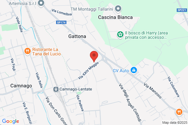 Borgonovo